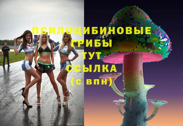 шишки Бородино