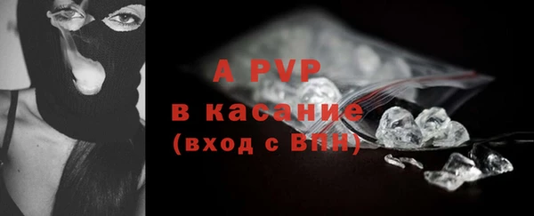 шишки Бородино