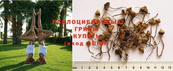 эйфоретик Бронницы