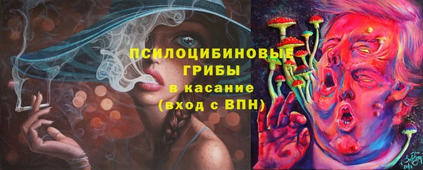 эйфоретик Бронницы