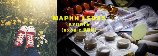 шишки Бородино