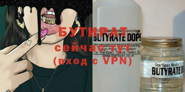 шишки Бородино